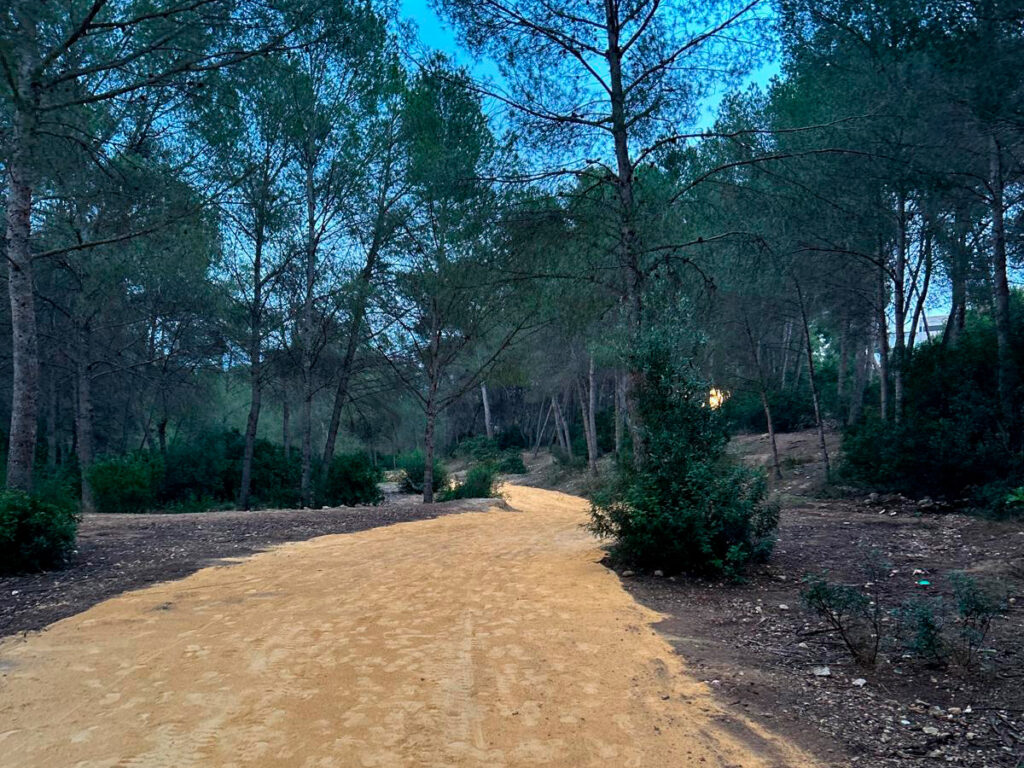 Estado actual de los senderos del Parque de El Moralet por los que discurrirá la Copa del Mundo de Ciclocross UCI – Benidorm Costa Blanca 2025.
